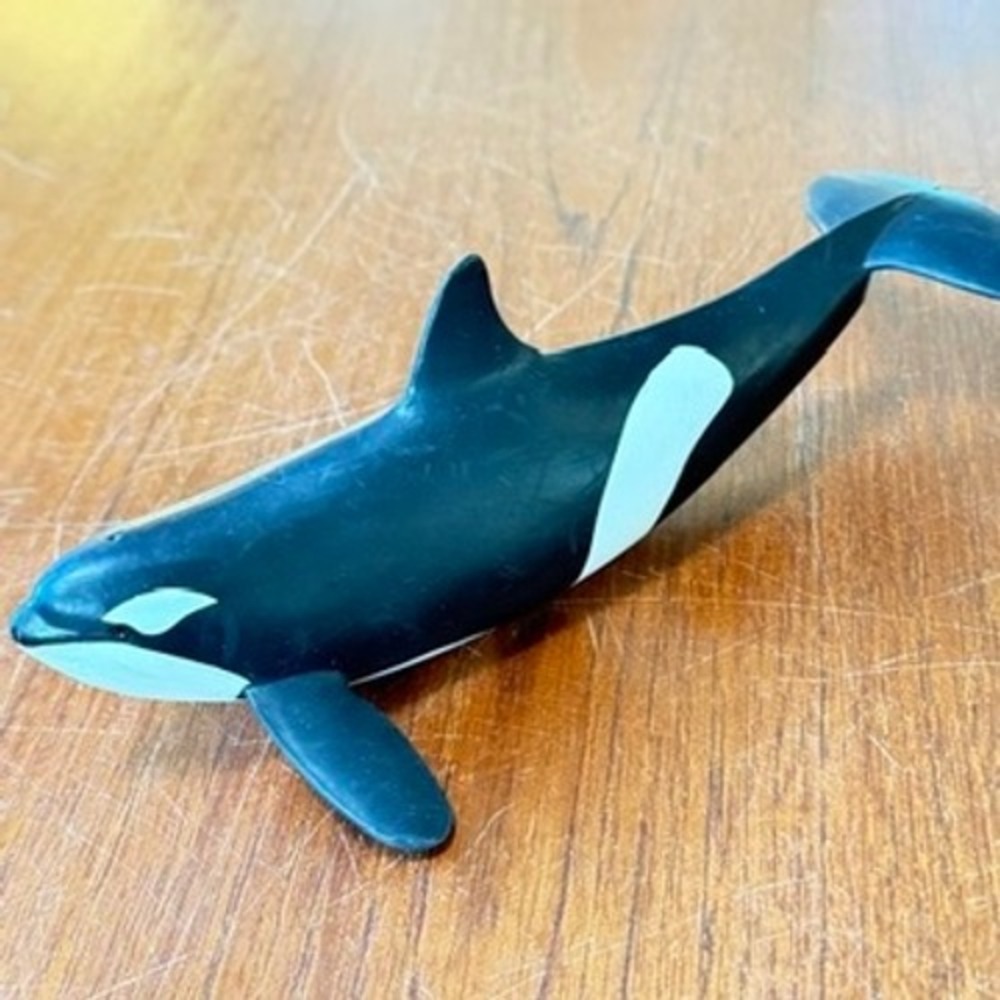 Schleich Orca Killer Whale Sea Animal Figurine 14807 Black White Marine Toy